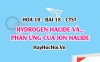 Tính chất vật lí của Hydrogen Halide, tính axit của Hydrohalic, tính khử của các ion Halide - Hoá 10 bài 18 CTST